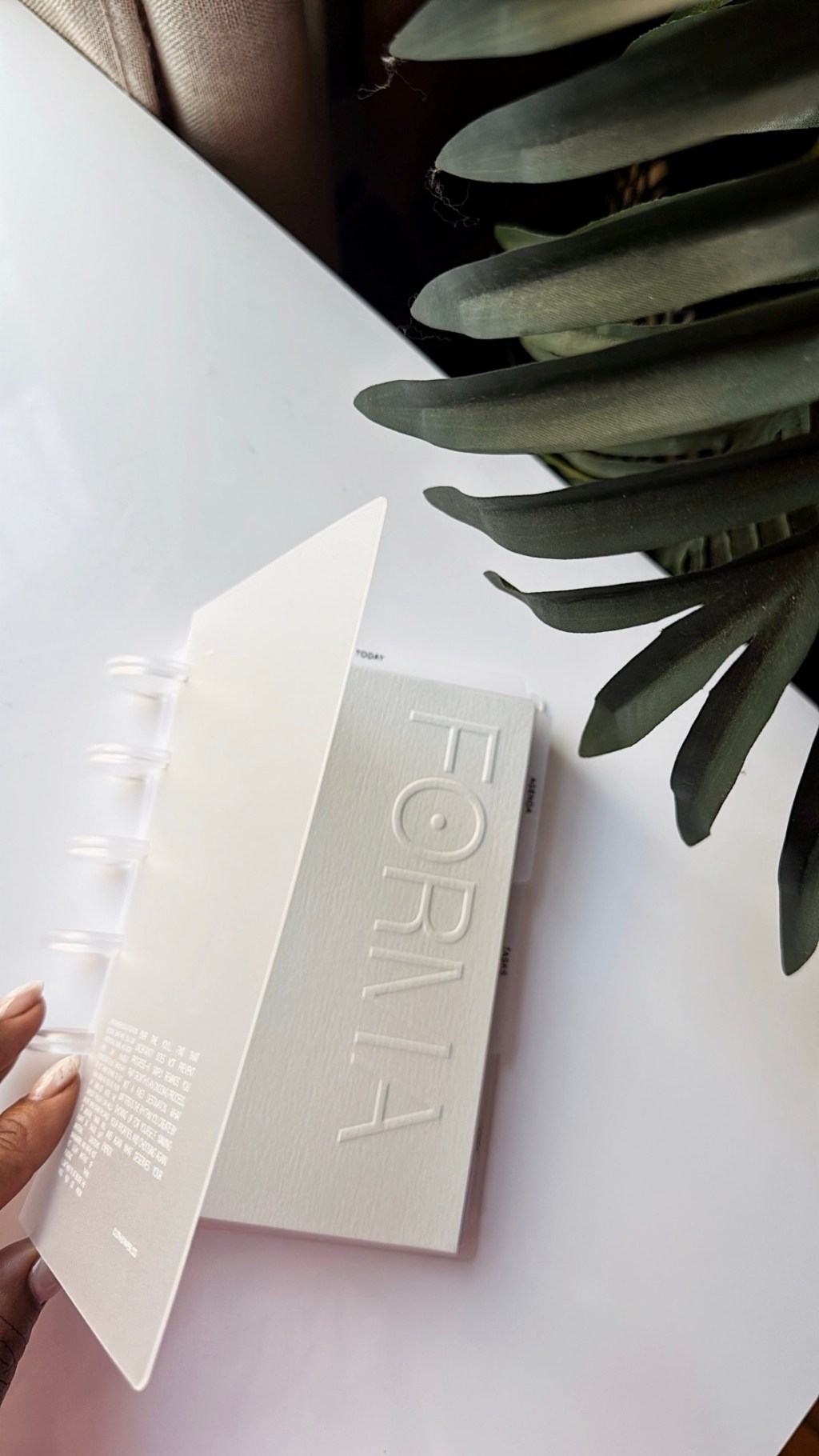 Pre Installed Planner&nbsp;Systems??